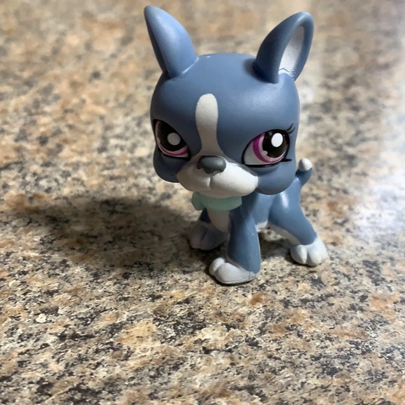 lps blue dog